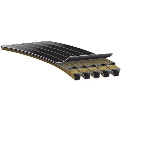 Predator PowerBand Belts, 16/5VP1120, Gates, Mfr#: 16/5VP1120